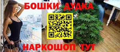 мдпв Ипатово