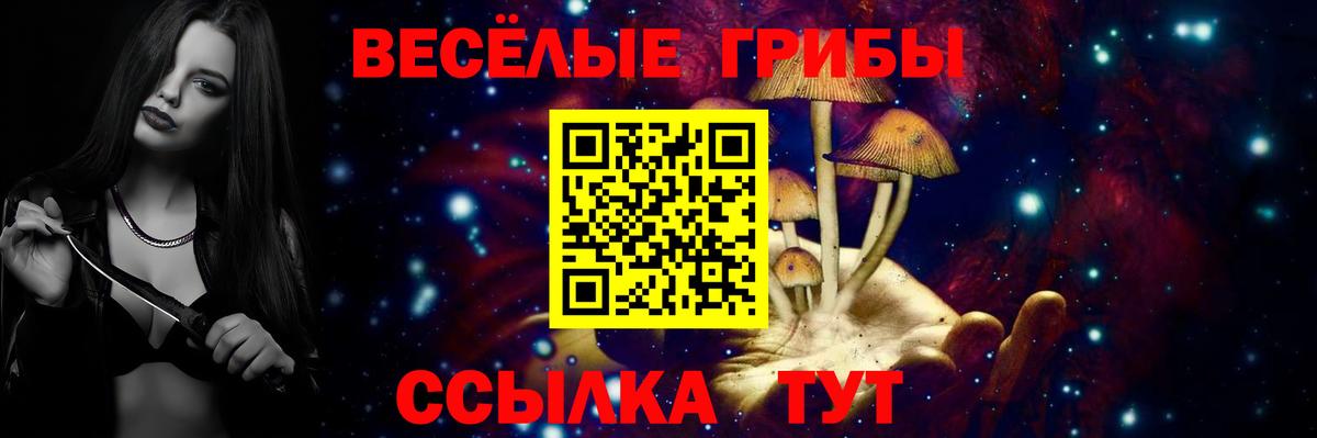 Галлюциногенные грибы Cubensis Знаменск
